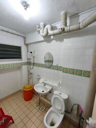 Blk 235 Pasir Ris Street 21 (Pasir Ris), HDB Executive #451939511